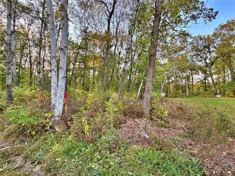 Xxx Lot B ASH Court, Garrison, MN 56450