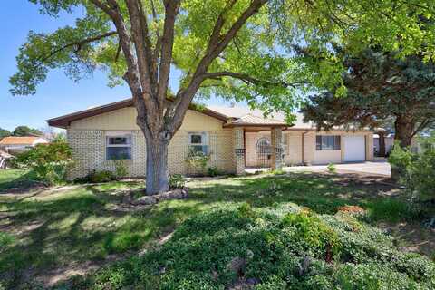 206 Rover, White Rock, NM 87547