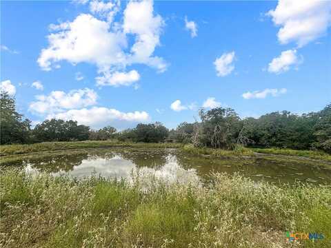 17+/- Acres Davis Road, Flatonia, TX 78949