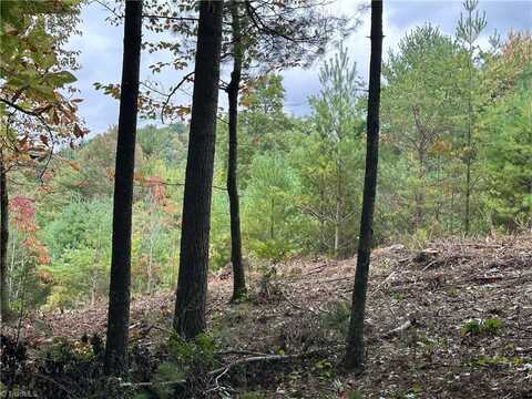 Lot 26e Cascade Run, Purlear, NC 28665