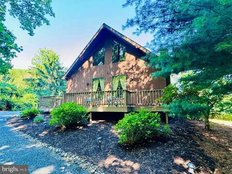 523 TEXTER MOUNTAIN ROAD, ROBESONIA, PA 19551