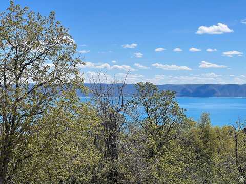 47 JUNIPER, Fish Haven, ID 83287