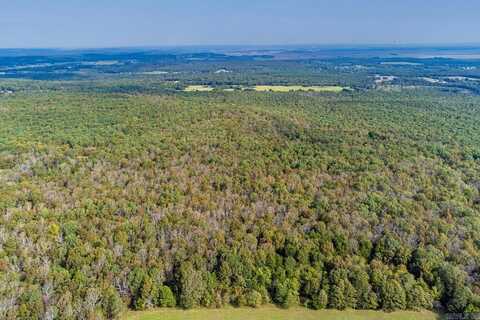 200 Acres Thida, Thida, AR 72020