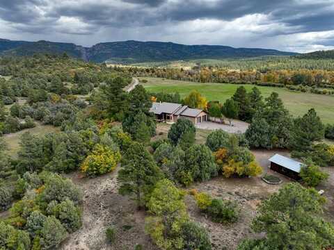 East Meadow # 2 County Road 342, Chama, CO 87520