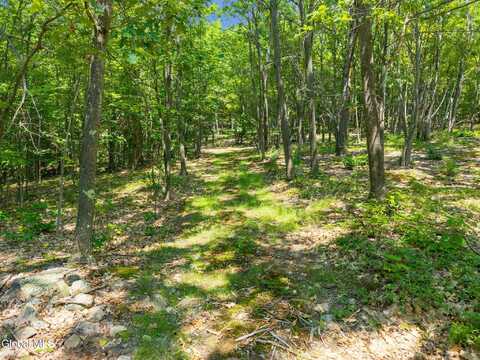 L7 Harroway Road, Richmondville, NY 12149