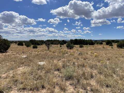 278 ENTRANOSA Road, Edgewood, NM 87015