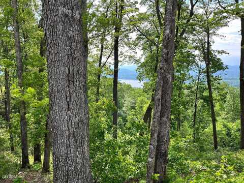 Lot 103 Highland Park Iii, Blairsville, GA 30512