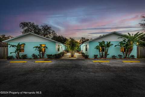 1016 E Lemon Street, Tarpon Springs, FL 34689