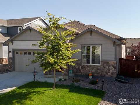 2093 Gather Ct, Windsor, CO 80550