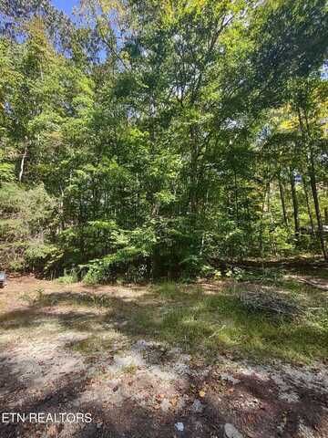 Hueston Wood Lane, Speedwell, TN 37870