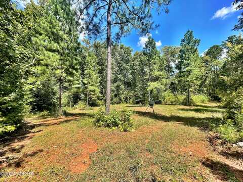 0 Montpelier Springs Road Road, Forsyth, GA 31029