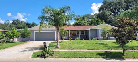 4107 ARAJO COURT, Bell, FL 32812