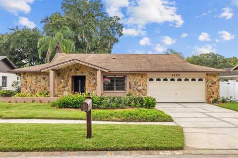 4124 HOLLOWTRAIL DRIVE, TAMPA, FL 33624