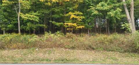 Lot 6 Bethlehem Road, New Windsor, NY 12553