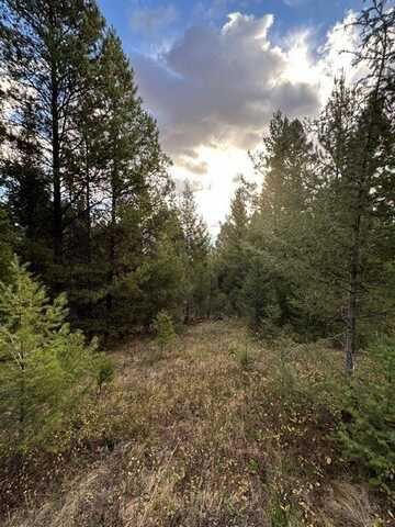 Lot 10 Black Pine Meadows Subdivision, Philipsburg, MT 59858