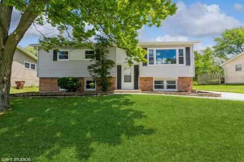 19021 Willow Avenue, Country Club Hills, IL 60478