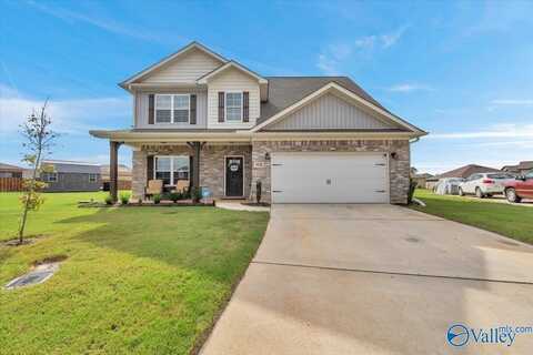 108 Maple Bend Drive, Toney, AL 35773