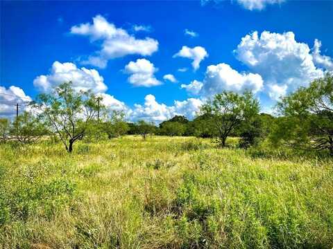 10680 281 Highway, Perrin, TX 76486