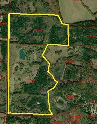 Tbd County road 3045, Dodd City, TX 75438