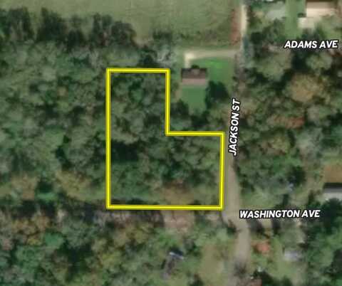 0 Washington Avenue, Florala, AL 36442