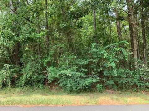 0 E Sunnybrook Lot 1333, Carriere, MS 39426