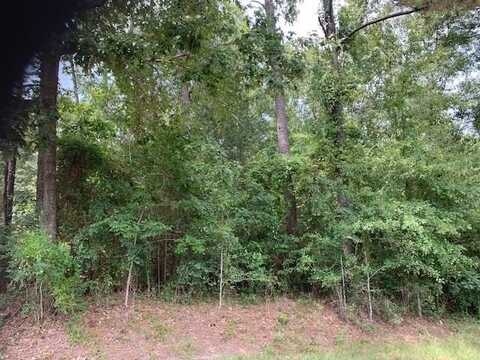 0 E Sunnybrook lot 1334, Carriere, MS 39426