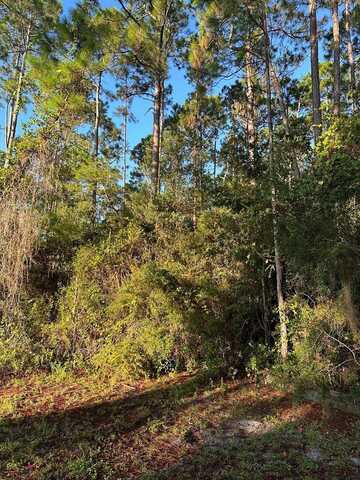 113 Mary Catherine Ln, Apalachicola, FL 32320