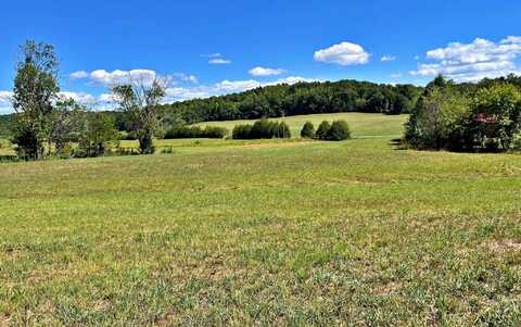 0 N Nopone Valley Road, Decatur, TN 37322