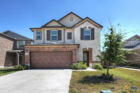 14105 Honey Gem Drive, Pflugerville, TX 78660