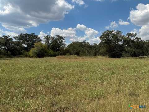 Lots 1-5 Burt Street, Yoakum, TX 77995