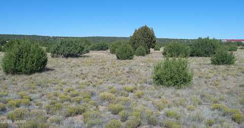 20 CR Road, Concho, AZ 85924