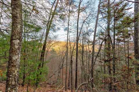 Lot 81 Whetstone Road, Sevierville, TN 37862