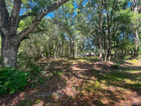 3965 E Walker Street, Inverness, FL 34453