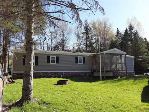 (310) Hunt, AFTON, NY 13730