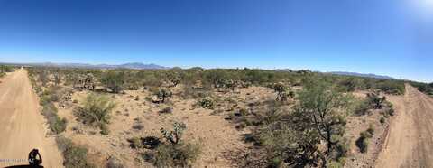 Curly Horn, SAHUARITA, AZ 85629