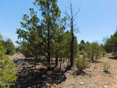 Sunset Ridge, HAPPY JACK, AZ 86024