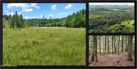Adirondack Heights Road, Chestertown, NY 12817