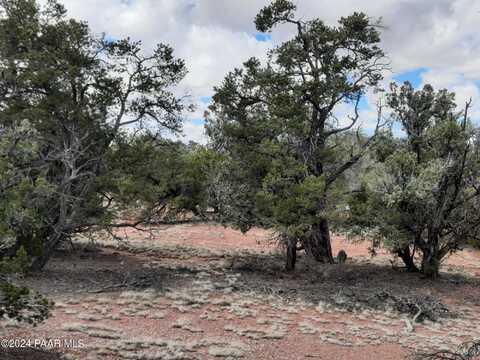 La Bruja, SELIGMAN, AZ 86337