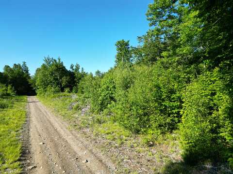 Lot 2 Bear Lane, Springfield, ME 04487