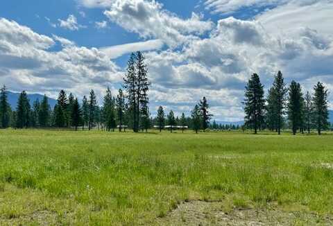 Cabinet View #Lot 4, Trout Creek, MT 59874