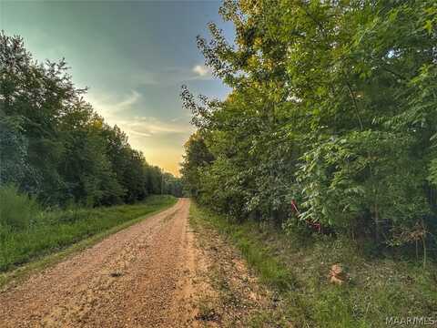 Mt Zion Road, Hamilton, AL 35570