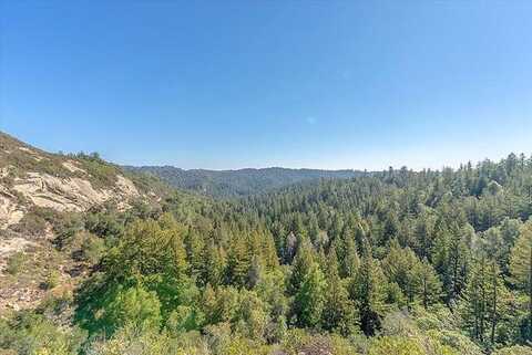 Whalebone Gulch, Boulder Creek, CA 95006