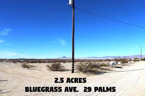 Bluegrass Avenue, 29 Palms, CA 92277