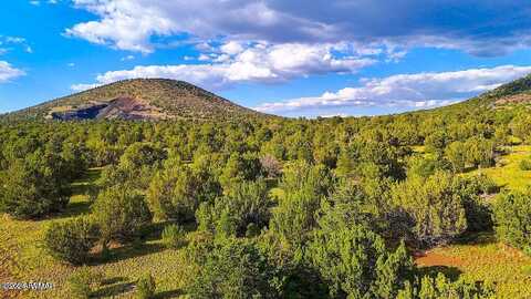 5669, 5693 & 5715 N Cunning Blvd 3 Acres, Williams, AZ 86046