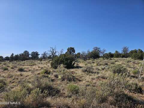 Red Butte, # 104C, Williams, AZ 86046