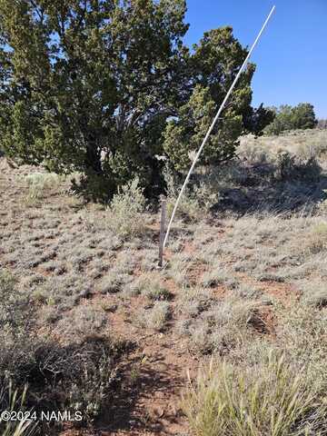 Red Butte, # 104A, Williams, AZ 86046