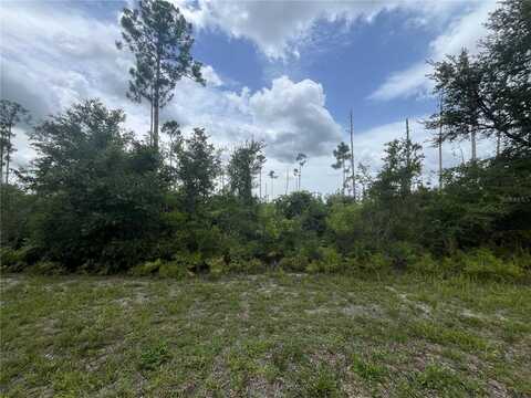 Alba Drive, Indian Lake Estates, FL 33855