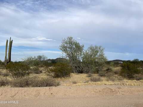 S La Paz Road, Maricopa, AZ 85139