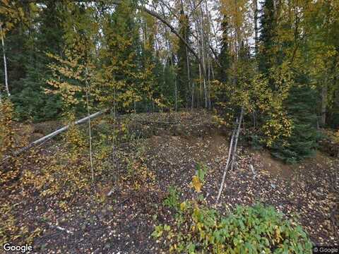 W Loc Lohmand Drive, Big Lake, AK 99654