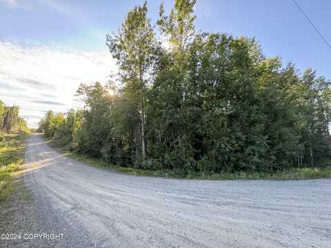 W Loc Lohmand Drive, Big Lake, AK 99654